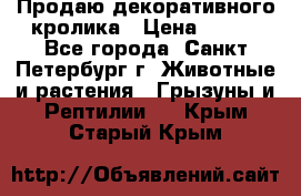 Продаю декоративного кролика › Цена ­ 500 - Все города, Санкт-Петербург г. Животные и растения » Грызуны и Рептилии   . Крым,Старый Крым